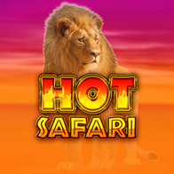 Hot Safari